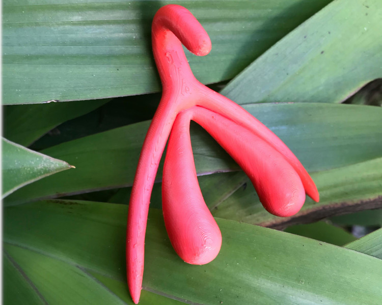 Como estimular o clitoris