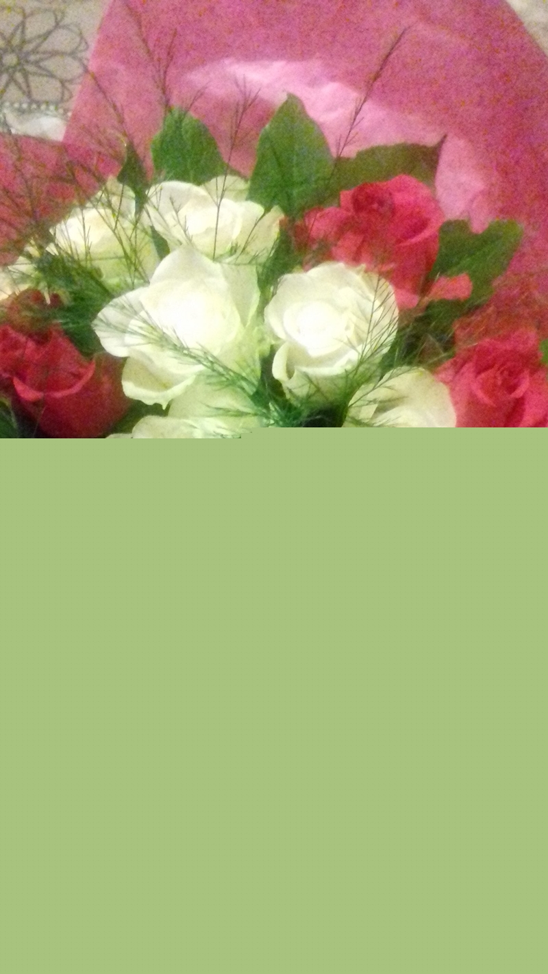flores